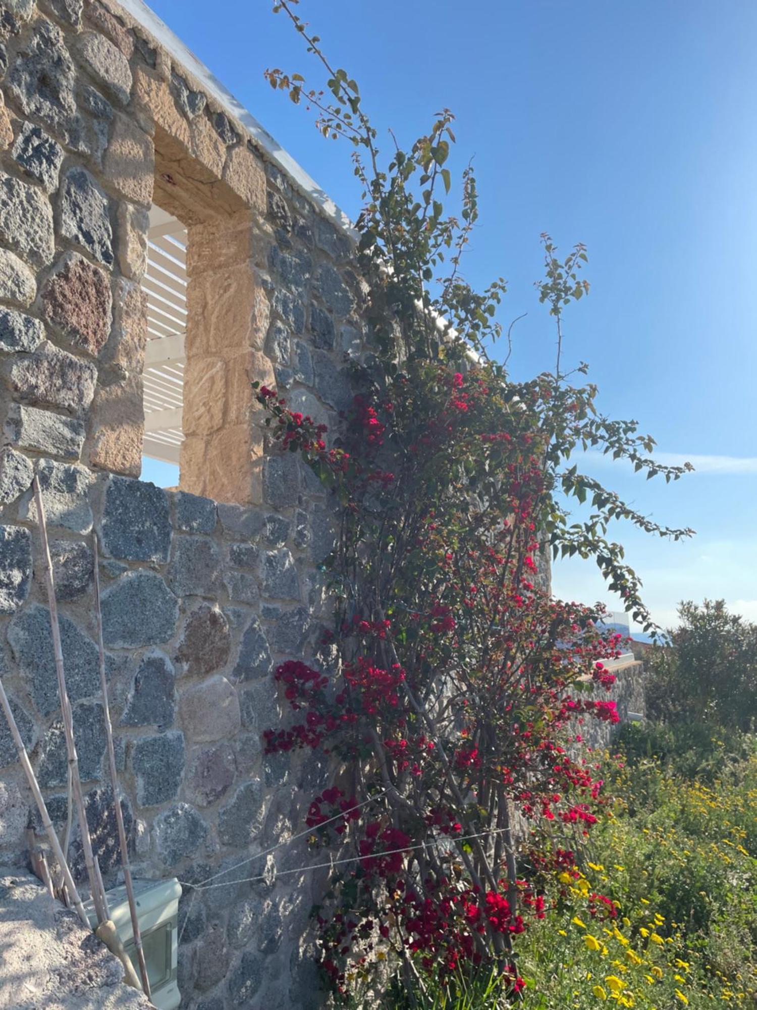 Souvala /Aegina. Excellent location Luxury villa. Vathí Extérieur photo