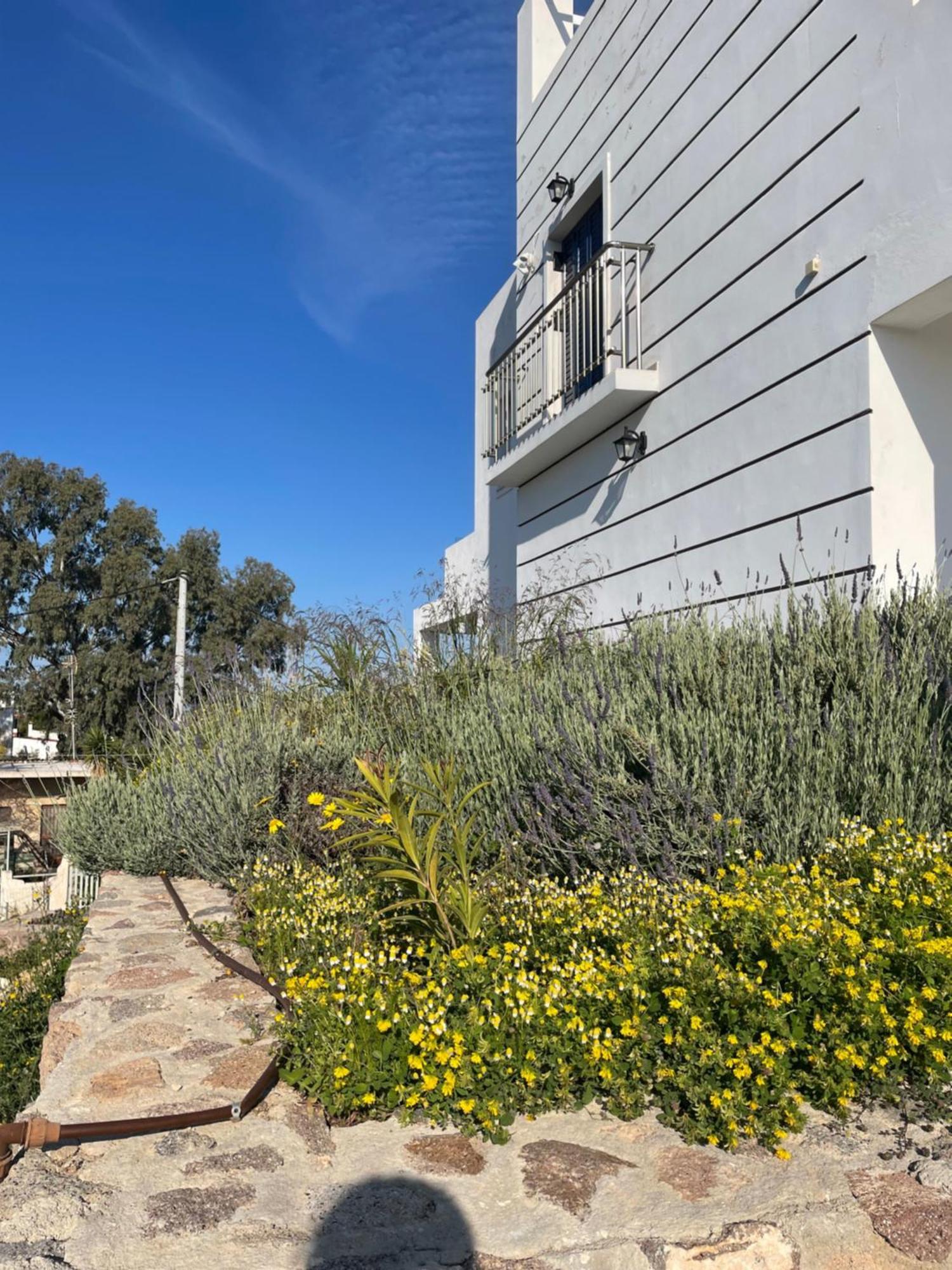 Souvala /Aegina. Excellent location Luxury villa. Vathí Extérieur photo